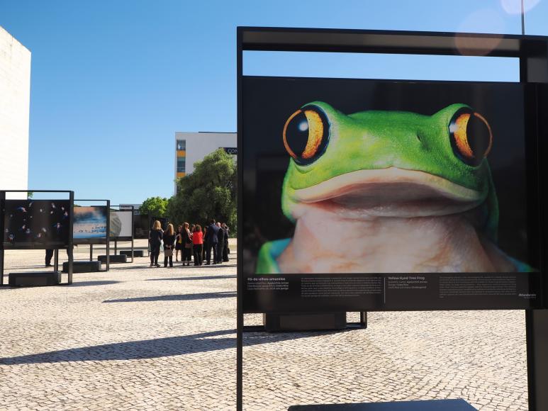 Inaugura&ccedil;&atilde;o da exposi&ccedil;&atilde;o &ldquo;Emo&ccedil;&otilde;es em Perigo&rdquo;