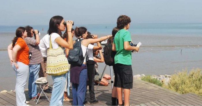 Observa&ccedil;&atilde;o de aves