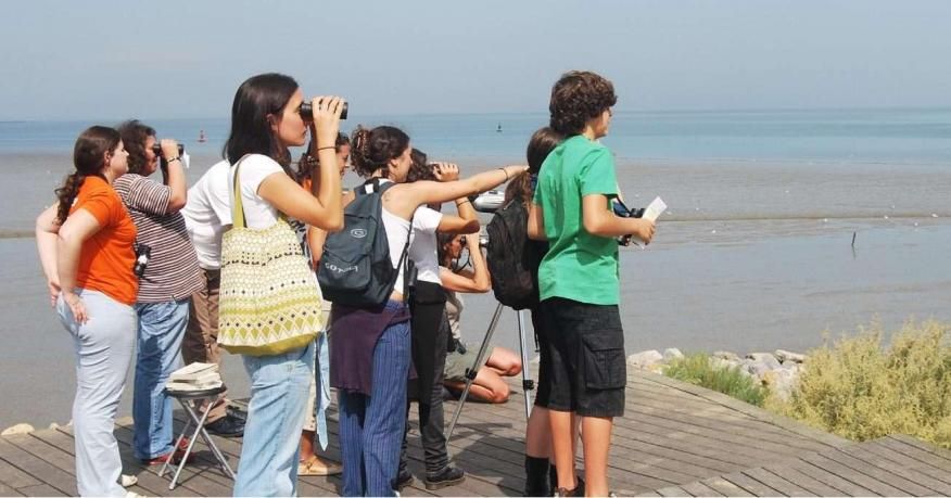 Observa&ccedil;&atilde;o de aves