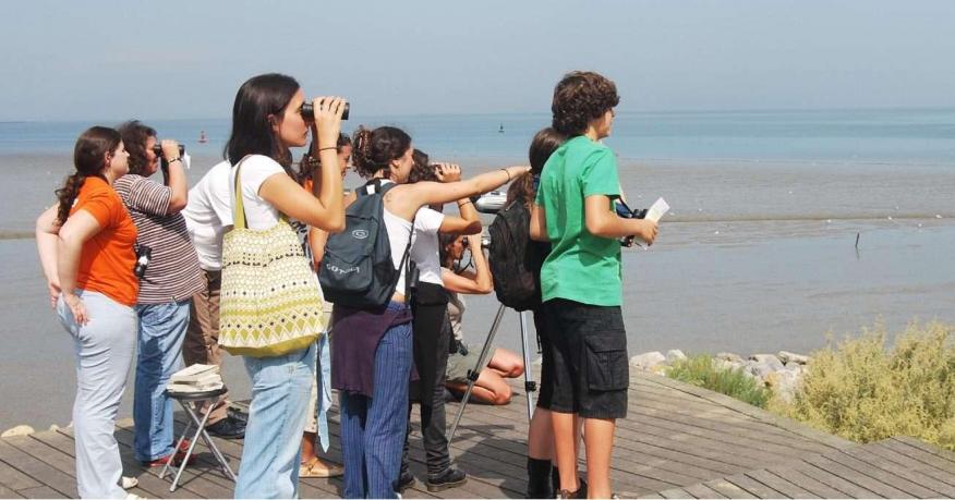 Observa&ccedil;&atilde;o de aves