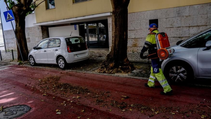 Varredura e limpeza