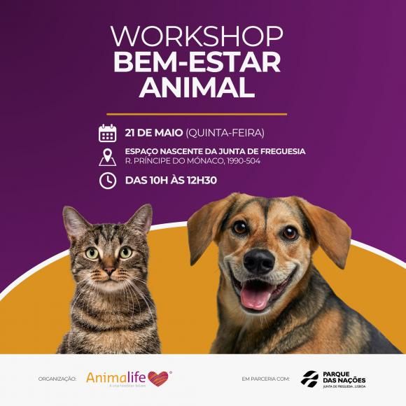 Workshop de bem-estar animal aberto &agrave; Popula&ccedil;&atilde;o