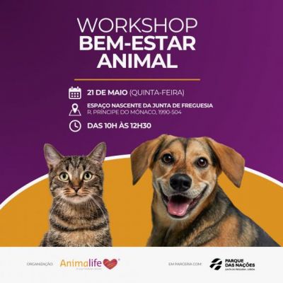 Workshop de bem-estar animal aberto &agrave; Popula&ccedil;&atilde;o
