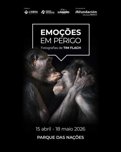 &Uacute;ltimo dia para ver &ldquo;Emo&ccedil;&otilde;es em Perigo&rdquo; de Tim Flach na Alameda dos Oceanos