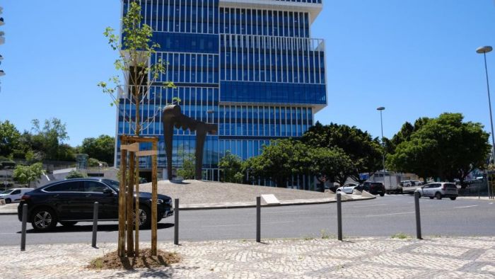 CML planta 156 &aacute;rvores na Freguesia