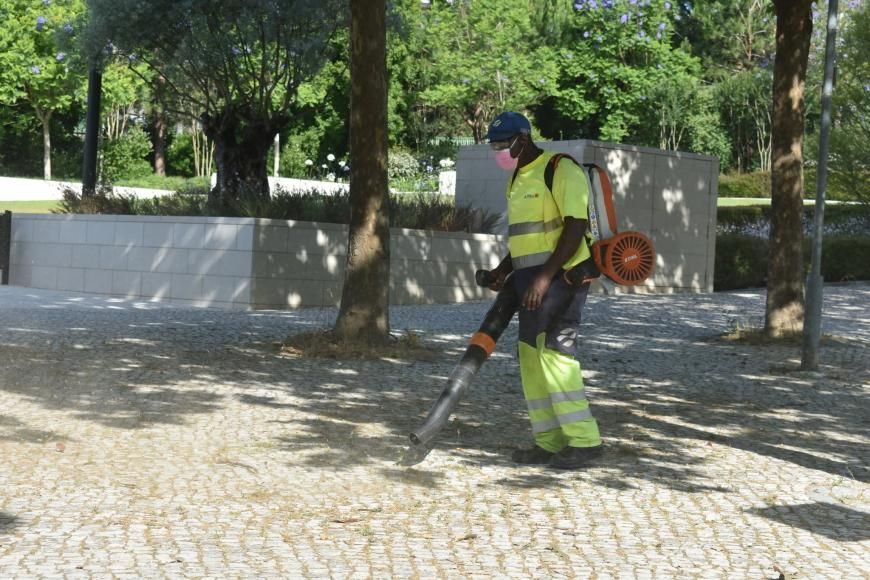 Limpeza na Avenida D. Jo&atilde;o II