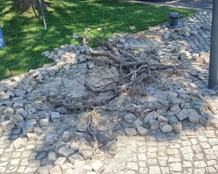 Calcetamento