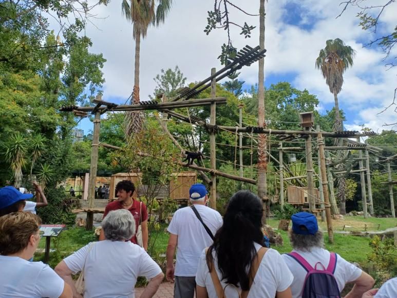 Praia Campo S&eacute;nior no Jardim Zool&oacute;gico