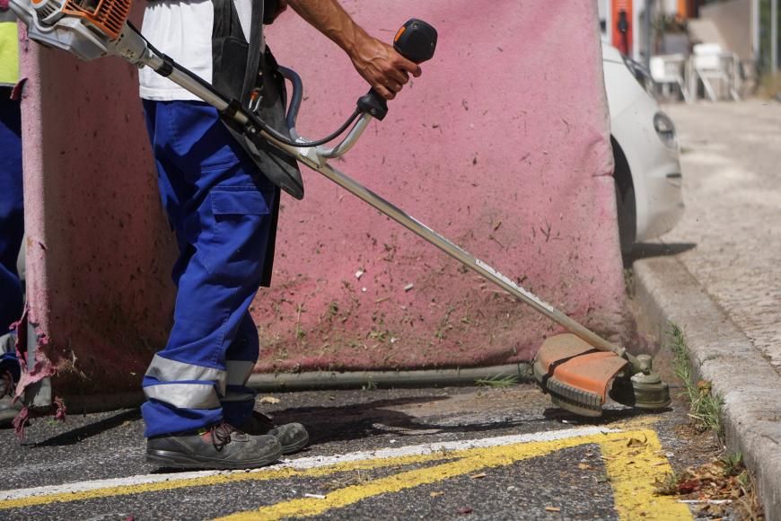 Limpeza e deservagem dos espa&ccedil;os p&uacute;blicos