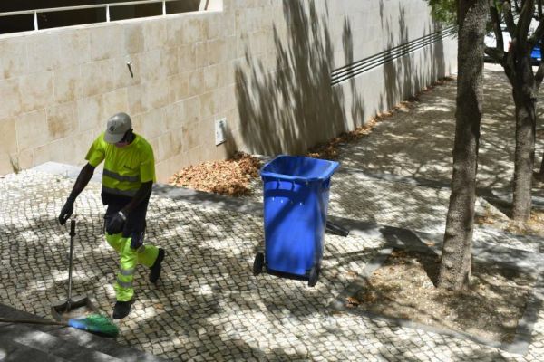 Limpeza e remo&ccedil;&atilde;o de folhas