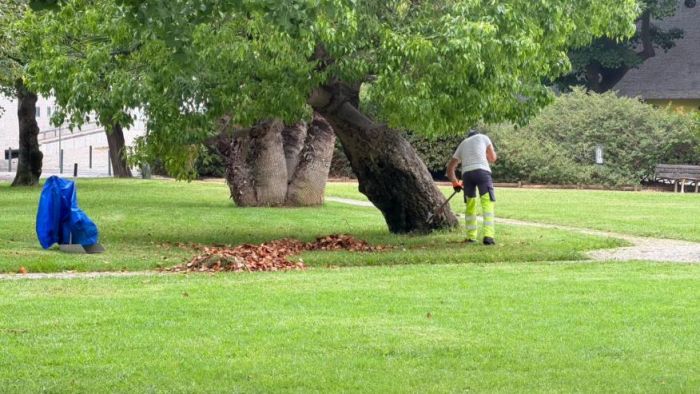 Corte de relva e limpeza no Jardim das Musas