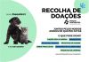 Campanha Solid&aacute;ria para animais