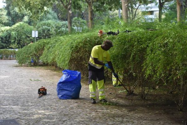 Alinhamento de arbustos na Alameda dos Oceanos
