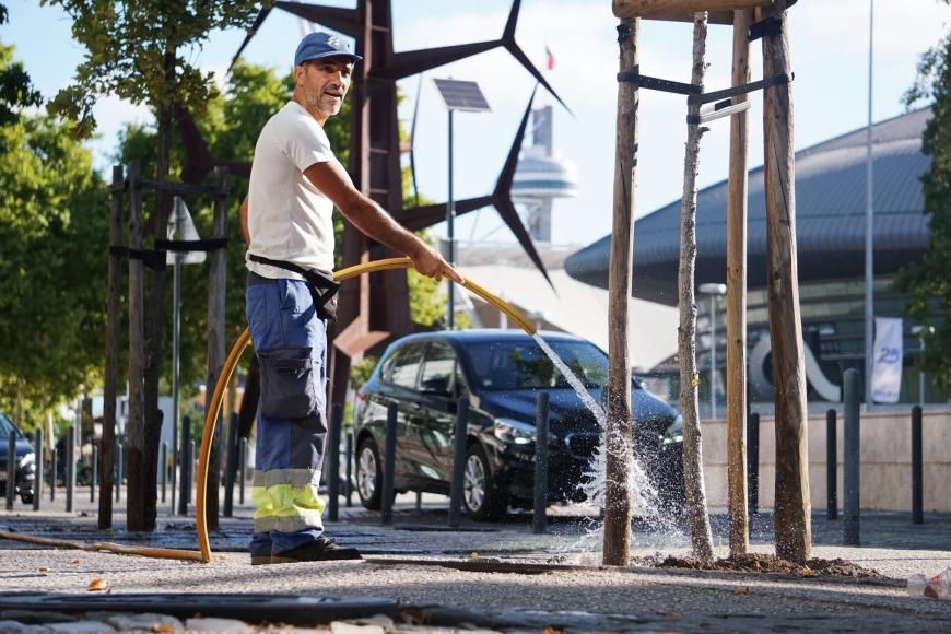 Rega de &aacute;rvores em caldeiras no Parque das Na&ccedil;&otilde;es