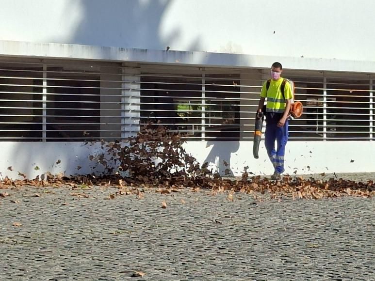 Aspira&ccedil;&atilde;o de folhas e lavagem de passeios