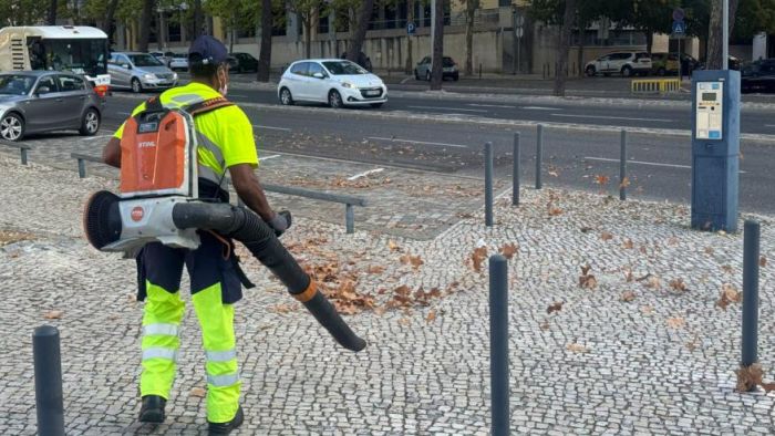 Limpeza e remo&ccedil;&atilde;o de folhas