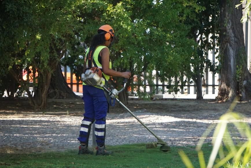 Limpeza e deservagem na zona Sul