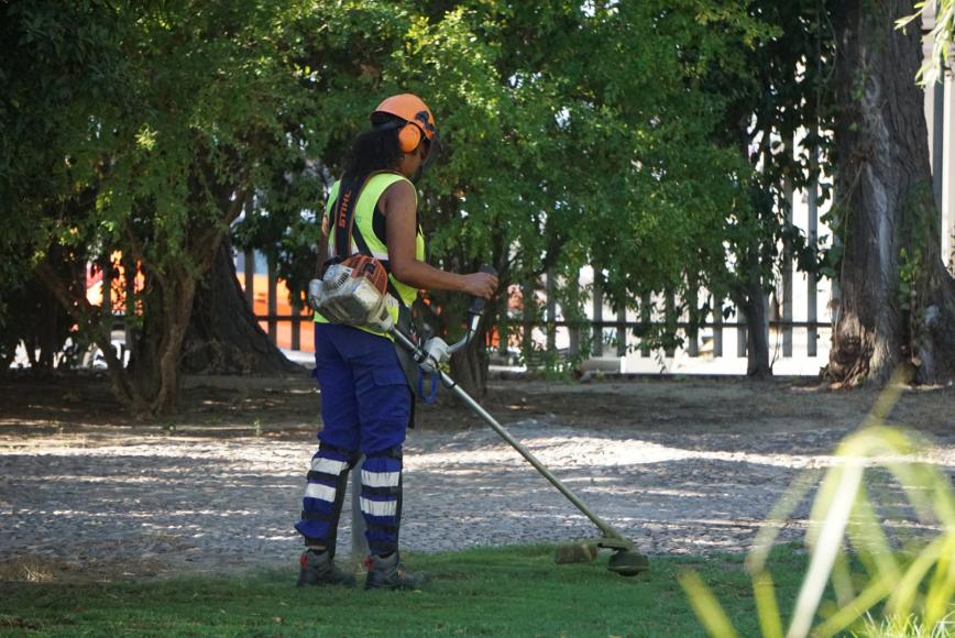 Limpeza e deservagem na zona Sul