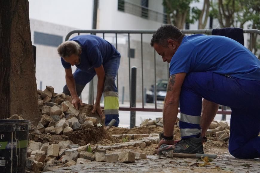 Jardinagem e Interven&ccedil;&atilde;o na cal&ccedil;ada
