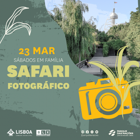 Vem a&iacute; um Safari fotogr&aacute;fico