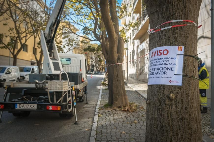 Poda Rua das Musas