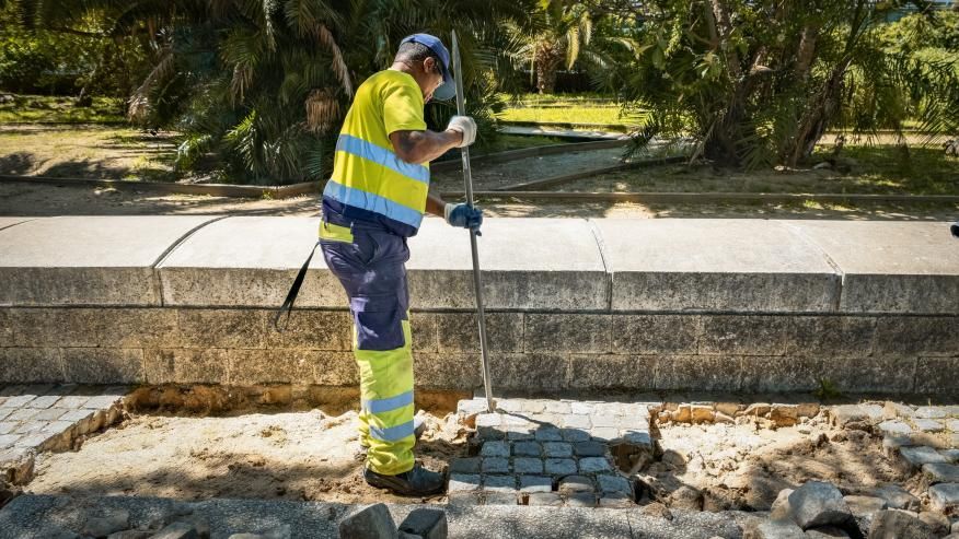 Passeio das T&aacute;gides em reabilita&ccedil;&atilde;o