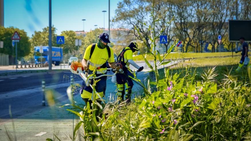 Deservagem na Via do Oriente