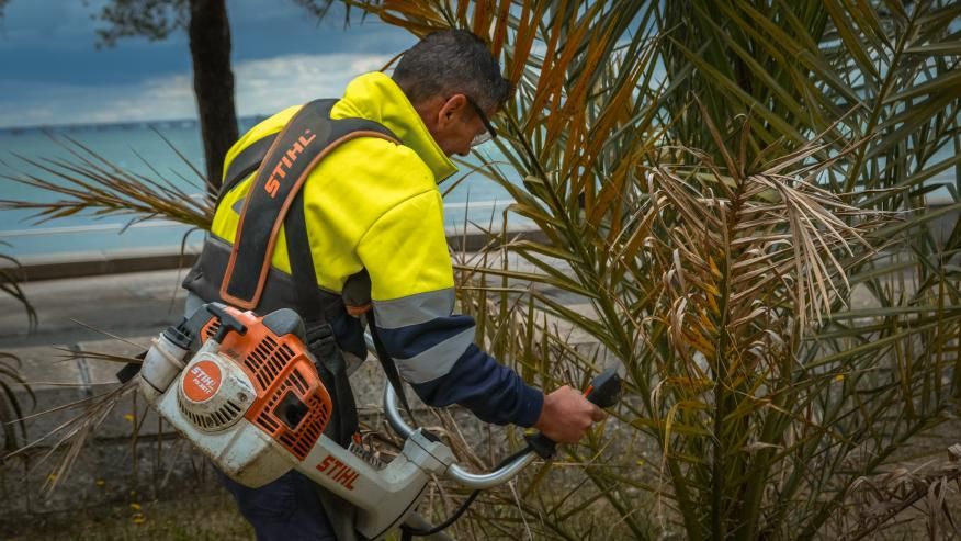 Manuten&ccedil;&atilde;o dos Jardins Garcia de Orta