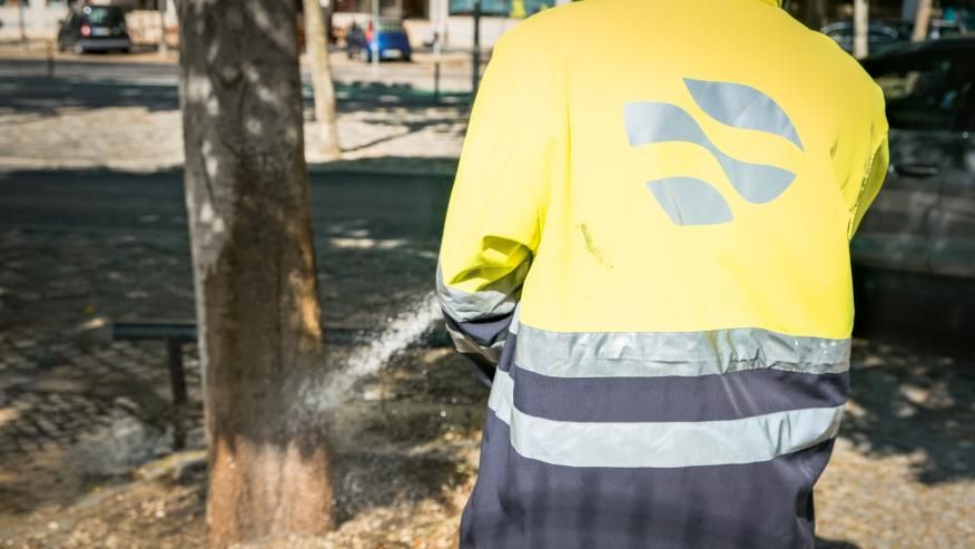 Rega refor&ccedil;ada nas &aacute;rvores de caldeira