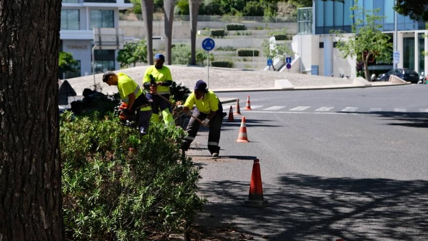 Planta&ccedil;&atilde;o na Avenida Dom Jo&atilde;o II